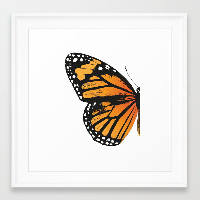 Monarch Butterfly Left Butterfly Wing Vintage Butterflies