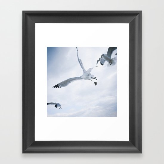 Seagull {Two} Framed Art Print