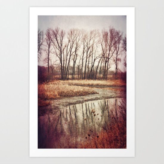 Solitude River Art Print