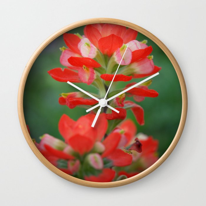 Indian Paintbrush Wall Clock