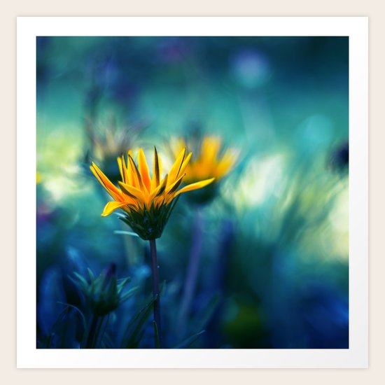 Little Sun Art Print