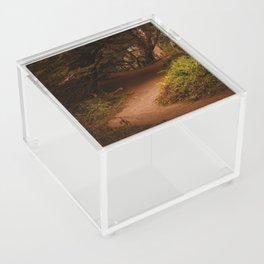 Into the Woods Acrylic Box