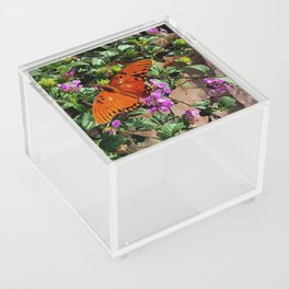Vibrant Butterfly Acrylic Box