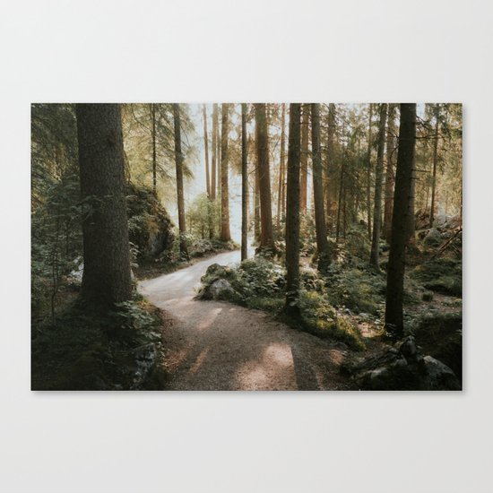 Lost in the Forest - Landscape Photography Canvas Print