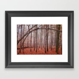 Red twilight Framed Art Print