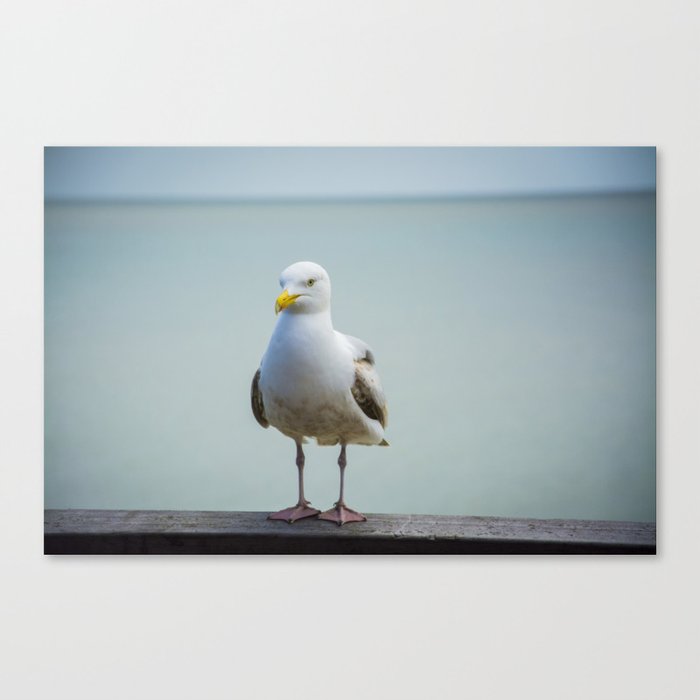 Being Watched Canvas Print