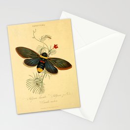 Cicada by Edward Donovan, 1800 (benefitting The Nature Conservancy) Stationery Cards