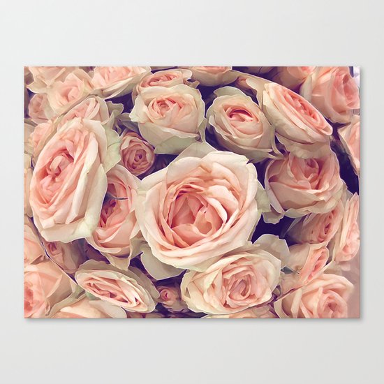 Pink Roses In A Bubble Canvas Print