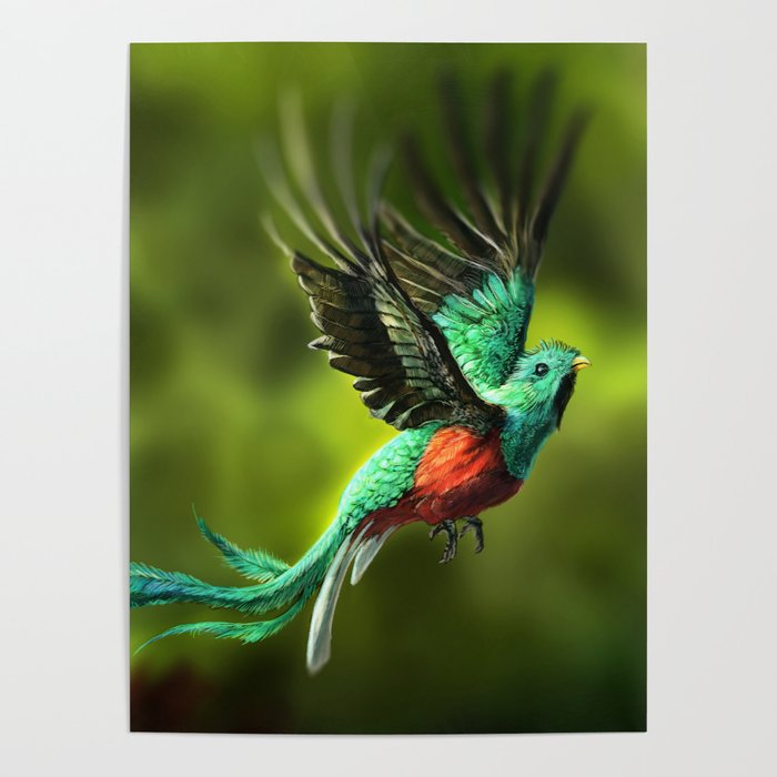 Resplendent Quetzal Poster