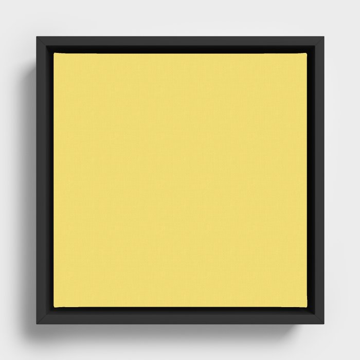 Sun Cup Framed Canvas