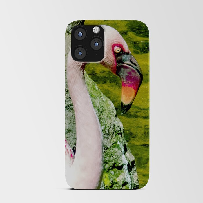 Flamingo at Rave Party iPhone Card Case