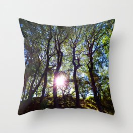 Scottish Highlands Sunlight Through the Trees Throw Pillow