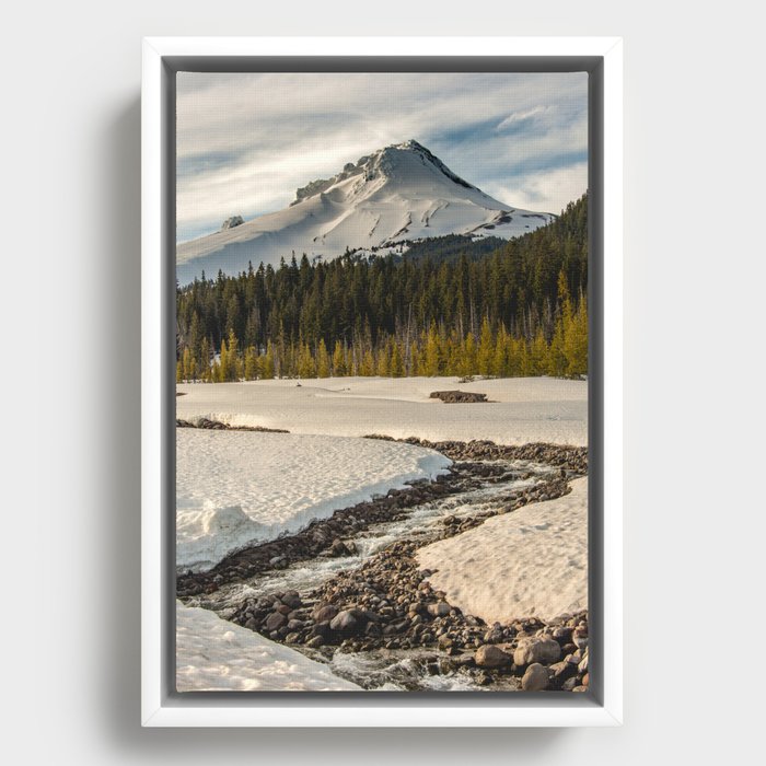 Framed Canvas