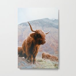 Highlander - I Metal Print