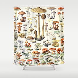 Adolphe Millot - Champignons B - French vintage poster Shower Curtain
