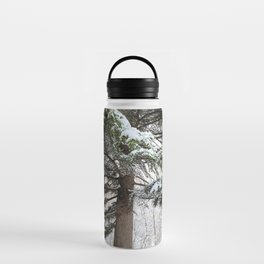 Snowy Winter Scene Water Bottle