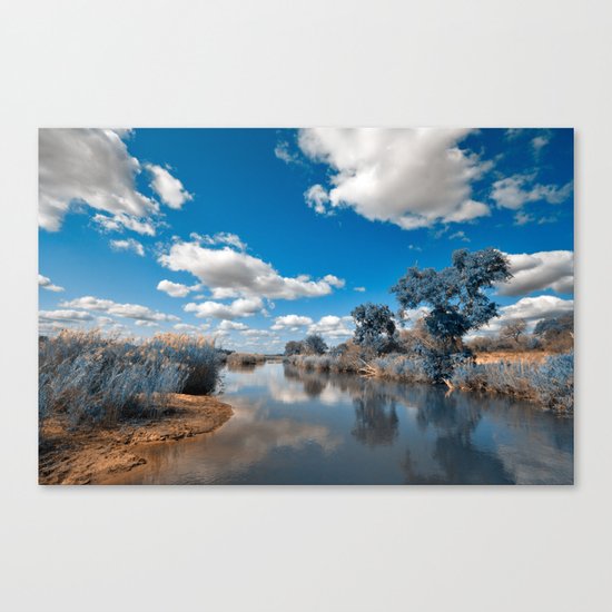 Kruger Park Landscape - Winter Blue Canvas Print