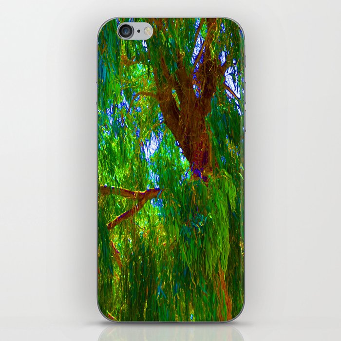 society6