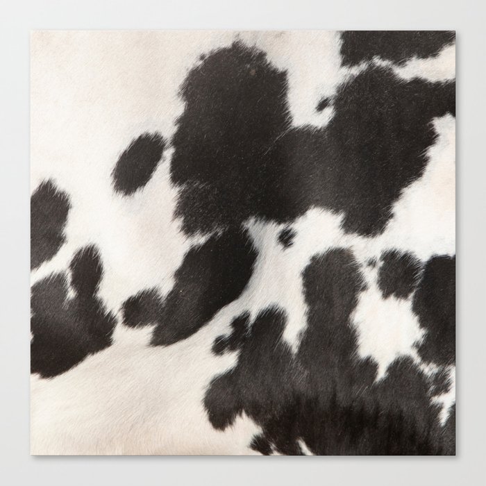 Black Cowhide, Cow Skin Print Pattern, Modern Cowhide Faux Leather Canvas Print