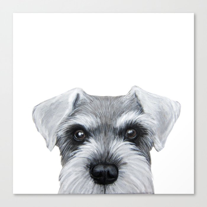 Schnauzer Grey\u0026white, Dog illustration 