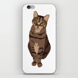 Tabby Cat iPhone Skin