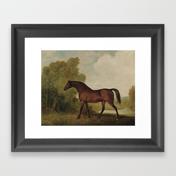 Vintage painting of a horse by George Stubbs Framed Art Print