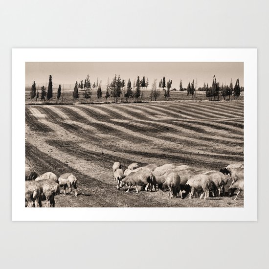 Sheep (sepia) Art Print