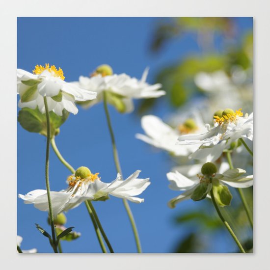 End of the Summer Canvas Print