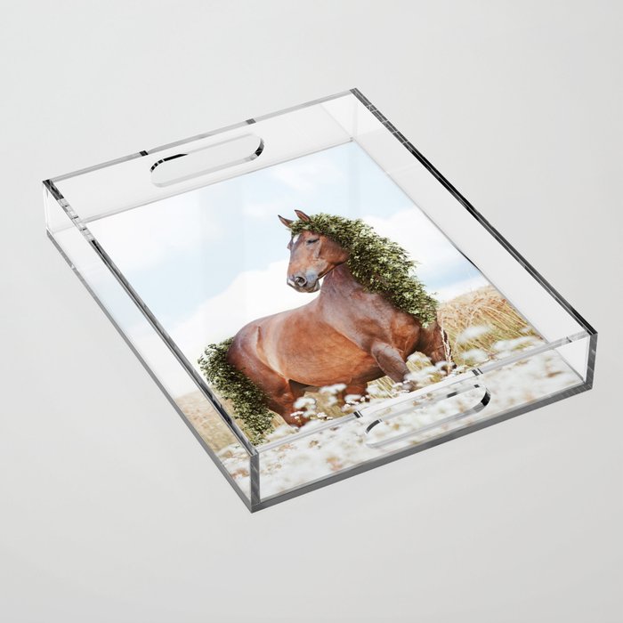 Spring Horse - Growing and Blooming Acrylic Tray