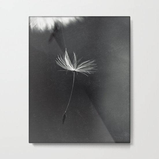 never let me go Metal Print