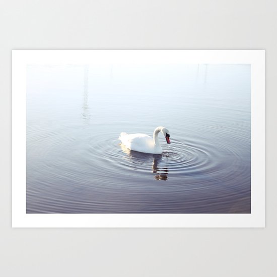 the beautiful swan Art Print