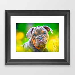 Brown And Black Puppy Bulldog Framed Art Print
