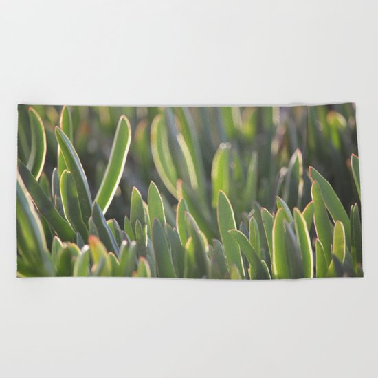 World of Imagination Beach Towel