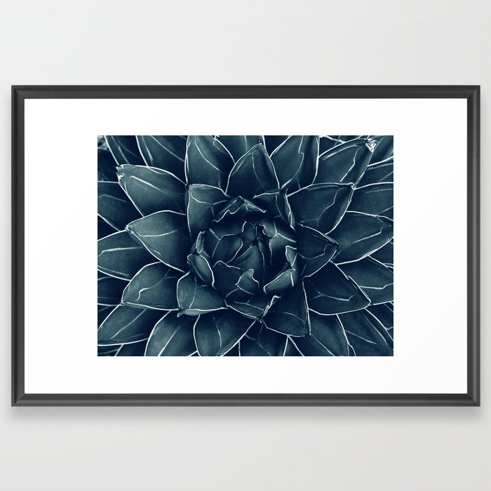 Agave Queen Succulent #1 #tropical #decor #art #society6 Framed Art Print