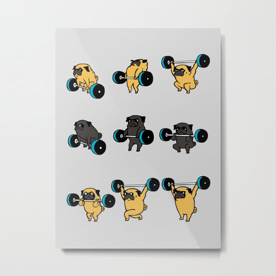 OLYMPIC LIFTING PUGS Metal Print