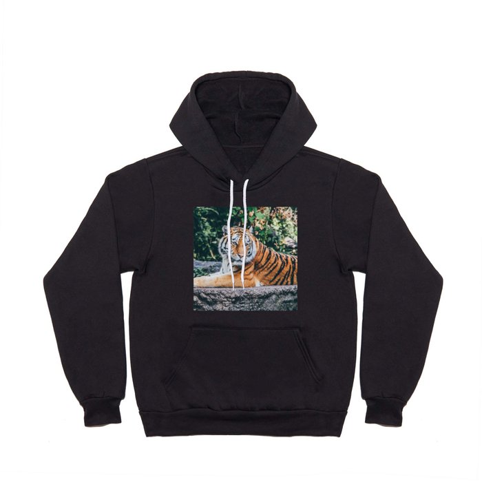 Majestic Tiger Sitting On A Rock Photography Hoody