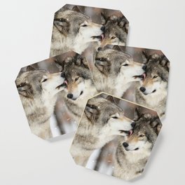 Wolf Kisses Coaster