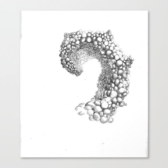 Spiral Fungus Canvas Print