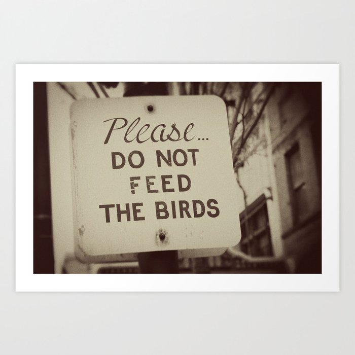 PLEASE do not feed the birds Art Print