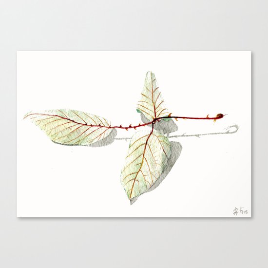 Autumn leaf of berrie Canvas Print
