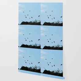 Ravens Flying Birds Over Trees Wallpaper