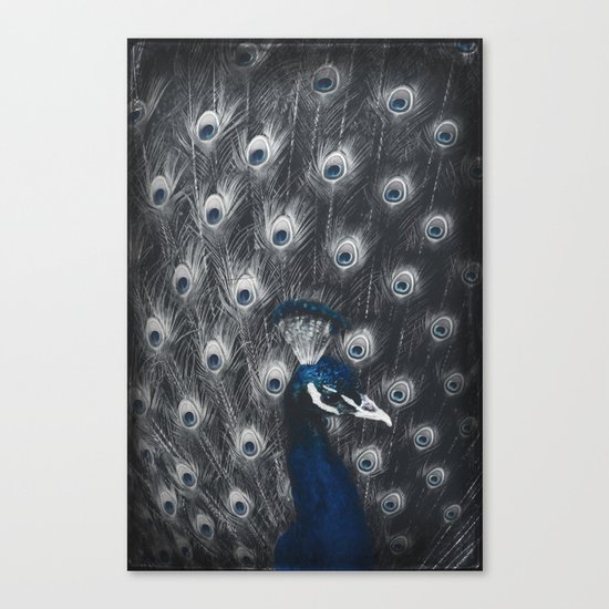 eyes Canvas Print