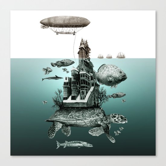 turtle Canvas Print
