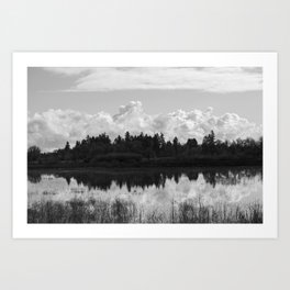 Wetlands Black and White Art Print
