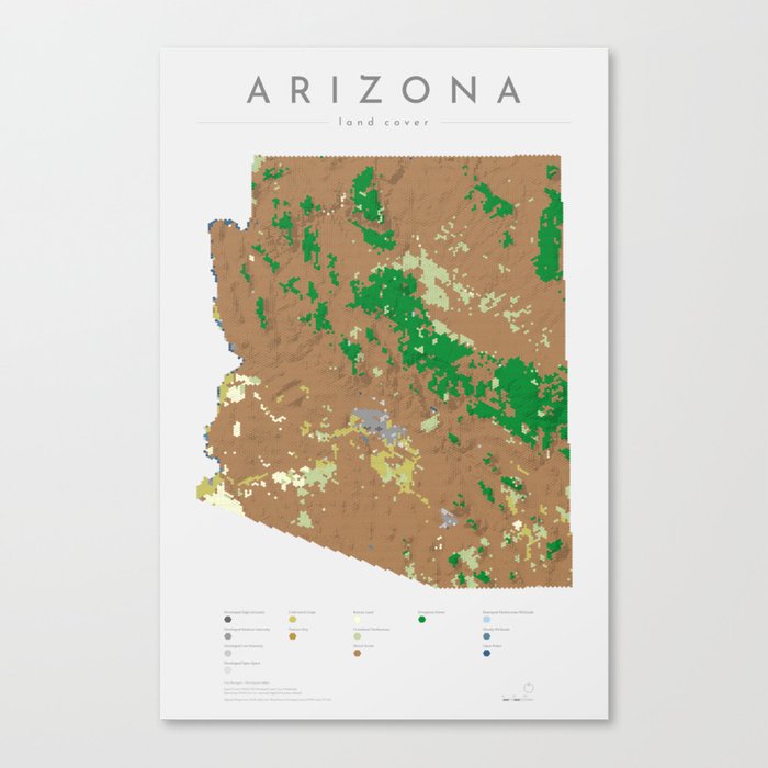 Arizona Land Cover Map Art Canvas Print