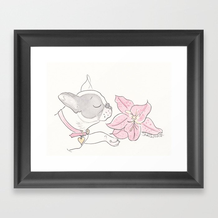 Pretty French Bulldog and the Pink Lily Framed Art Print
