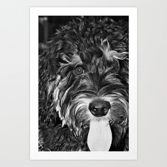 Scout... Art Print