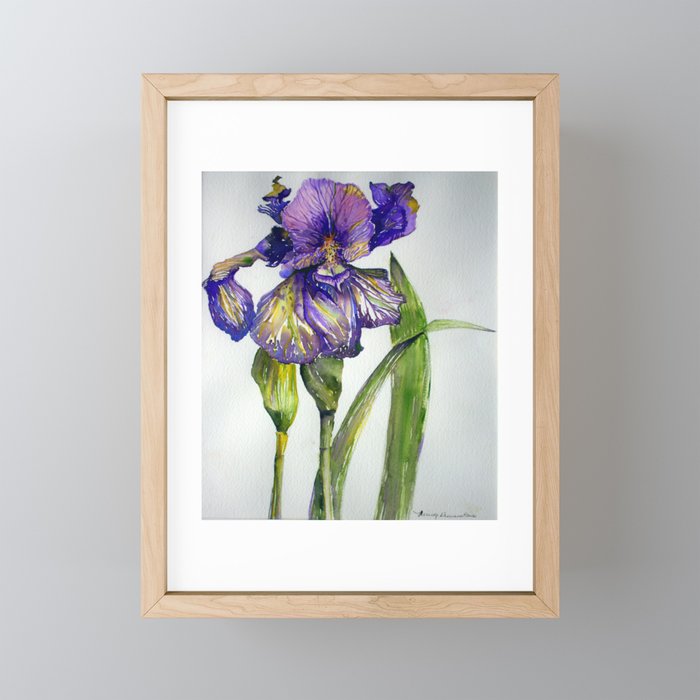 Iris Framed Mini Art Print