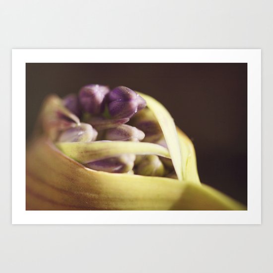 bloom Art Print