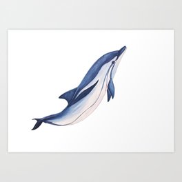 Striped baby dolphin Art Print